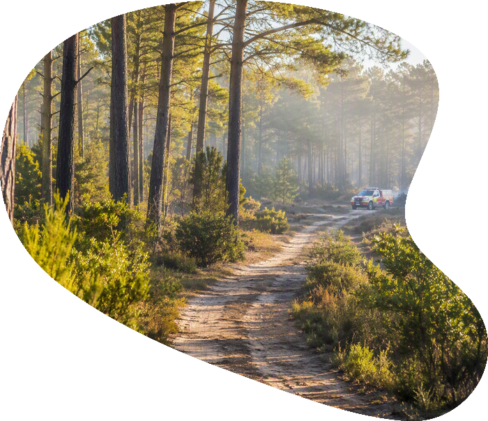 Évolution des incendies en Gironde et dans les Landes avec la mobilisation de Tolède Groupe pour accompagner les assurés sinistrés.
